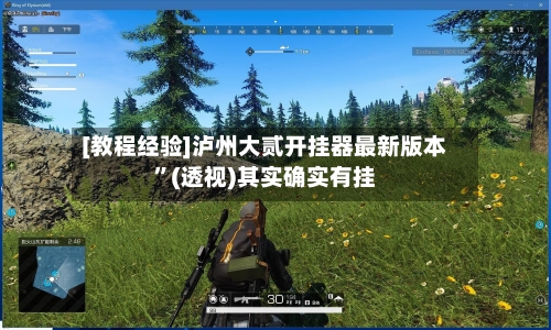 [教程经验]泸州大贰开挂器最新版本”(透视)其实确实有挂-第1张图片