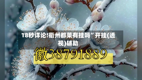 18秒详论!衢州都莱有挂吗	”开挂(透视)辅助-第1张图片