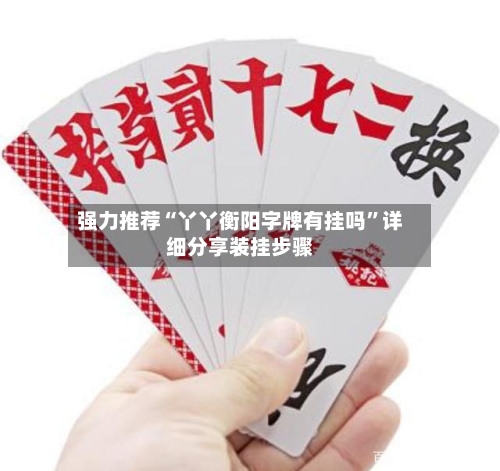 强力推荐“丫丫衡阳字牌有挂吗	”详细分享装挂步骤-第1张图片