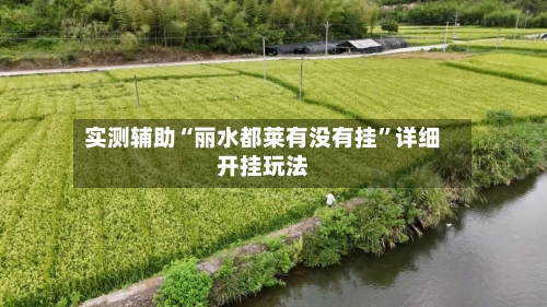 实测辅助“丽水都莱有没有挂	”详细开挂玩法-第1张图片