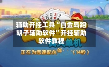辅助开挂工具“白金岛跑胡子辅助软件	”开挂辅助软件教程-第1张图片