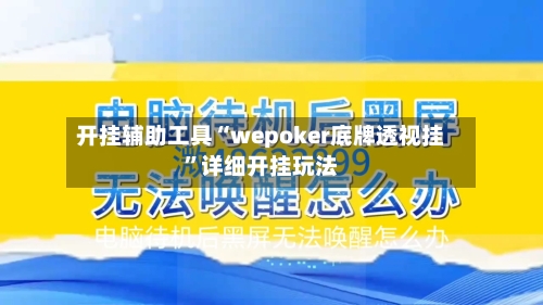 开挂辅助工具“wepoker底牌透视挂”详细开挂玩法-第1张图片