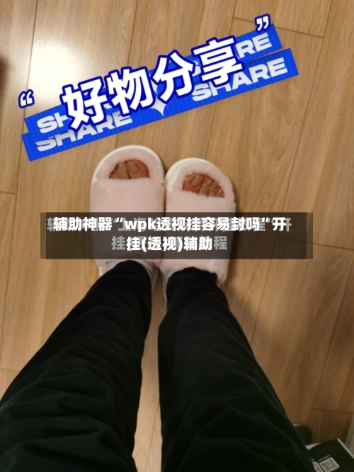 辅助神器“wpk透视挂容易封吗	”开挂(透视)辅助-第1张图片