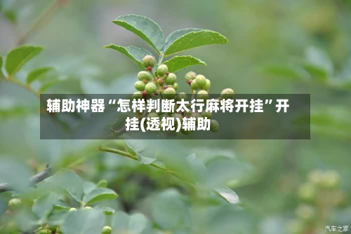 辅助神器“怎样判断太行麻将开挂	”开挂(透视)辅助-第1张图片