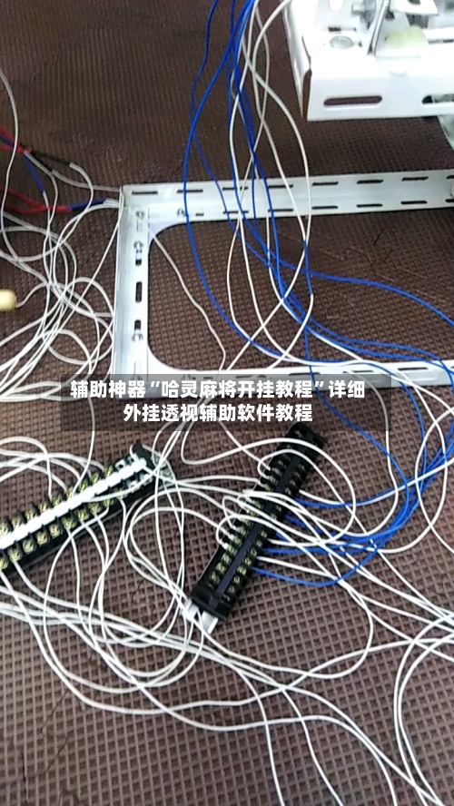 辅助神器“哈灵麻将开挂教程”详细外挂透视辅助软件教程-第1张图片