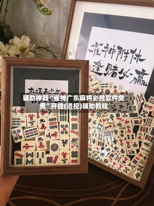 辅助神器“雀神广东麻将必胜软件免费”开挂(透视)辅助教程-第1张图片