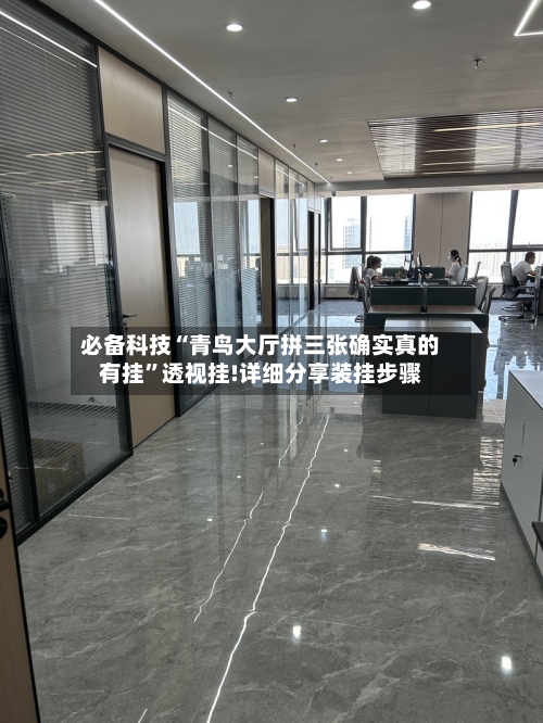 必备科技“青鸟大厅拼三张确实真的有挂”透视挂!详细分享装挂步骤-第1张图片