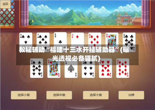 教程辅助“福建十三水开挂辅助器”(曝光透视必备猫腻)-第1张图片