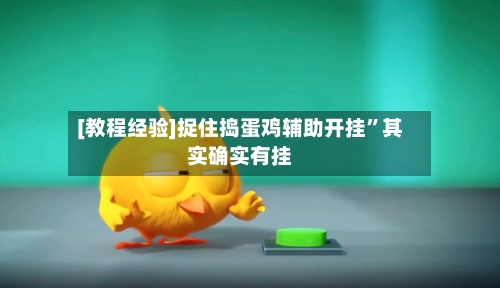 [教程经验]捉住捣蛋鸡辅助开挂”其实确实有挂-第1张图片