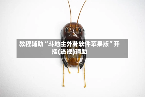 教程辅助“斗地主外卦软件苹果版”开挂(透视)辅助-第1张图片