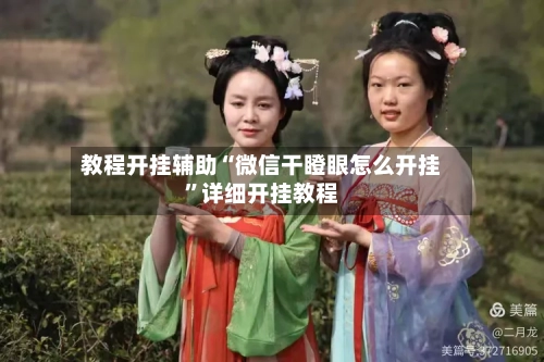 教程开挂辅助“微信干瞪眼怎么开挂”详细开挂教程-第1张图片