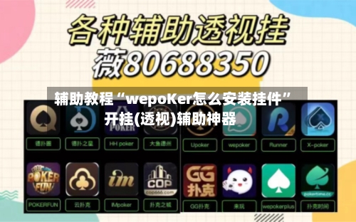 辅助教程“wepoKer怎么安装挂件”开挂(透视)辅助神器-第1张图片