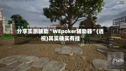 分享实测辅助“WEpoker辅助器	”(透视)其实确实有挂-第1张图片