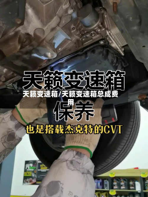 天籁变速箱/天籁变速箱总成费用-第1张图片