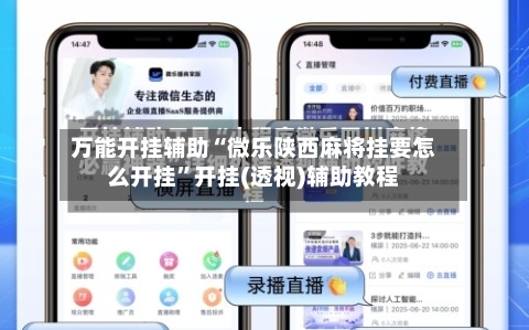 万能开挂辅助“微乐陕西麻将挂要怎么开挂”开挂(透视)辅助教程-第1张图片