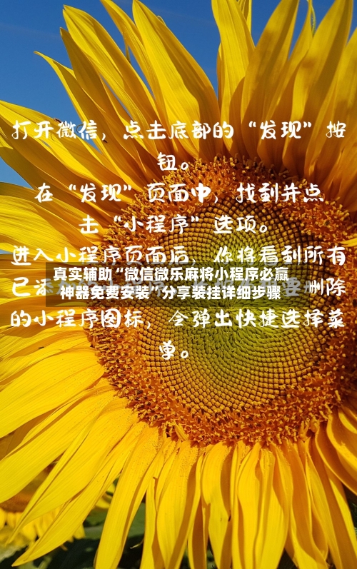 真实辅助“微信微乐麻将小程序必赢神器免费安装”分享装挂详细步骤-第1张图片