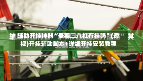 辅助开挂神器“麦穗二八杠有挂吗	”(透视)开挂辅助脚本+详细开挂安装教程-第1张图片