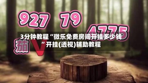3分钟教程“微乐免费房间开挂多少钱”开挂(透视)辅助教程-第1张图片