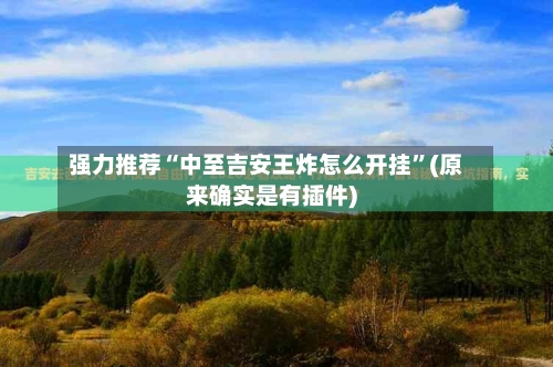 强力推荐“中至吉安王炸怎么开挂”(原来确实是有插件)-第1张图片