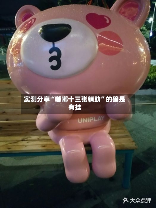 实测分享“嘟嘟十三张辅助”的确是有挂-第1张图片