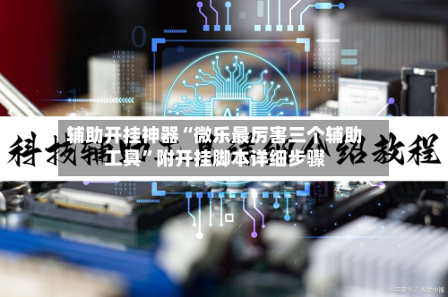 辅助开挂神器“微乐最厉害三个辅助工具	”附开挂脚本详细步骤-第1张图片