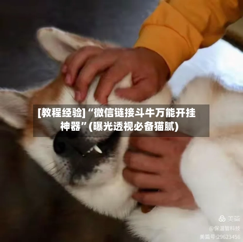 [教程经验]“微信链接斗牛万能开挂神器”(曝光透视必备猫腻)-第1张图片