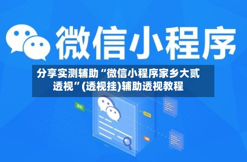 分享实测辅助“微信小程序家乡大贰透视	”(透视挂)辅助透视教程-第1张图片