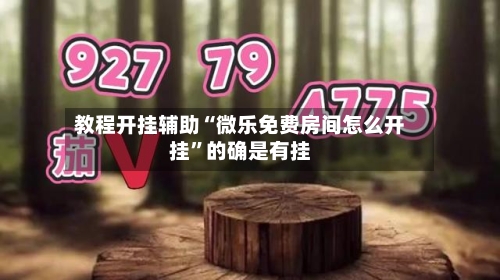 教程开挂辅助“微乐免费房间怎么开挂	”的确是有挂-第1张图片