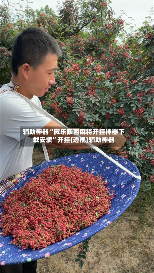 辅助神器“微乐陕西麻将开挂神器下载安装”开挂(透视)辅助神器-第1张图片