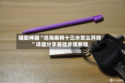辅助神器“沧海麻将十三水怎么开挂	”详细分享装挂步骤教程-第1张图片