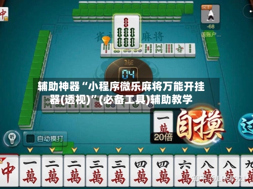 辅助神器“小程序微乐麻将万能开挂器(透视)	”(必备工具)辅助教学-第1张图片
