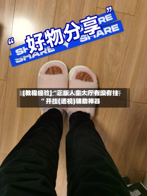 [教程经验]“正版人皇大厅有没有挂	”开挂(透视)辅助神器-第1张图片
