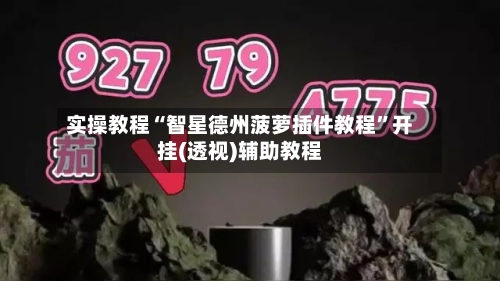 实操教程“智星德州菠萝插件教程”开挂(透视)辅助教程-第1张图片