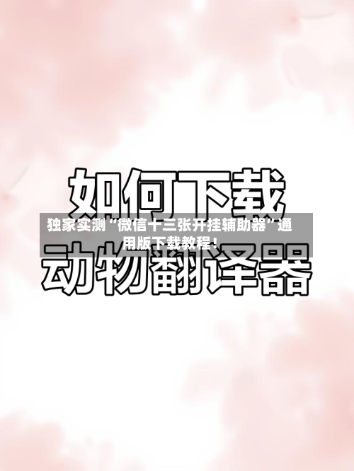 独家实测“微信十三张开挂辅助器”通用版下载教程！-第1张图片