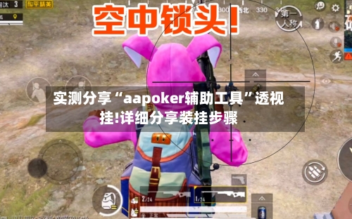 实测分享“aapoker辅助工具”透视挂!详细分享装挂步骤-第1张图片