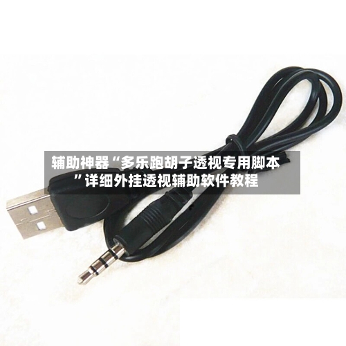 辅助神器“多乐跑胡子透视专用脚本	”详细外挂透视辅助软件教程-第1张图片