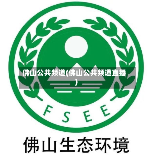 佛山公共频道(佛山公共频道直播)-第1张图片