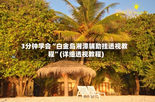 3分钟学会“白金岛湘潭辅助挂透视教程”(详细透视教程)-第1张图片