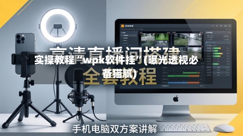 实操教程“wpk软件挂”(曝光透视必备猫腻)-第1张图片