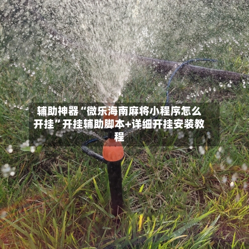 辅助神器“微乐海南麻将小程序怎么开挂”开挂辅助脚本+详细开挂安装教程-第1张图片