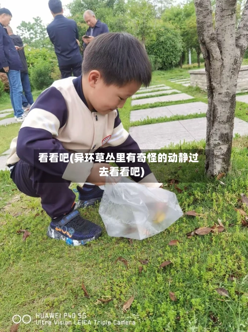 看看吧(异环草丛里有奇怪的动静过去看看吧)-第1张图片