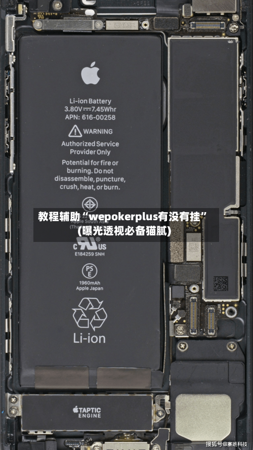 教程辅助“wepokerplus有没有挂	”(曝光透视必备猫腻)-第1张图片