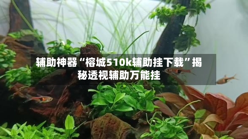 辅助神器“榕城510k辅助挂下载	”揭秘透视辅助万能挂-第1张图片