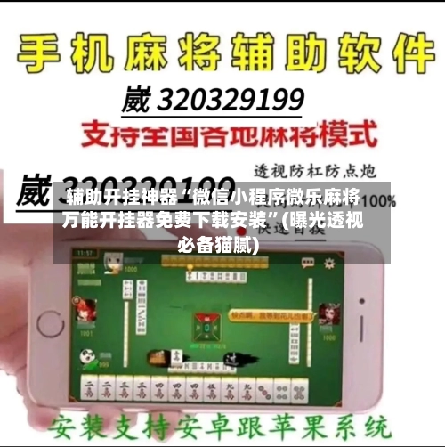 辅助开挂神器“微信小程序微乐麻将万能开挂器免费下载安装”(曝光透视必备猫腻)-第1张图片