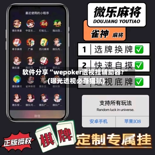 软件分享“wepoker透视挂辅助器?	”(曝光透视必备猫腻)-第1张图片