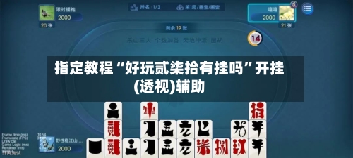 指定教程“好玩贰柒拾有挂吗”开挂(透视)辅助-第1张图片