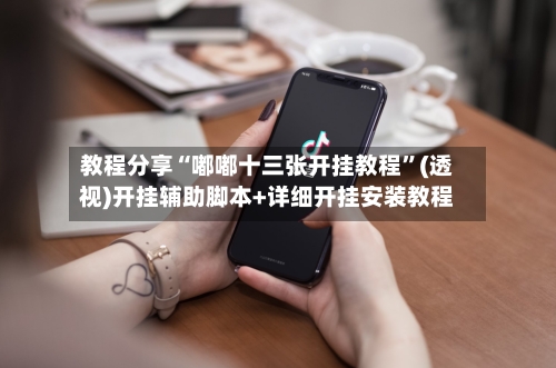 教程分享“嘟嘟十三张开挂教程”(透视)开挂辅助脚本+详细开挂安装教程-第1张图片