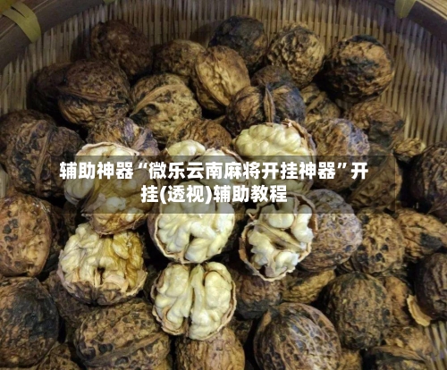 辅助神器“微乐云南麻将开挂神器”开挂(透视)辅助教程-第1张图片