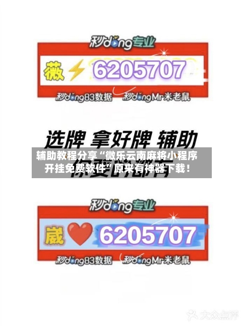 辅助教程分享“微乐云南麻将小程序开挂免费软件”原来有神器下载！-第1张图片