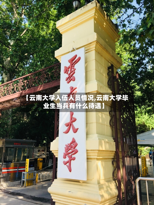 【云南大学入伍人员情况,云南大学毕业生当兵有什么待遇】-第1张图片